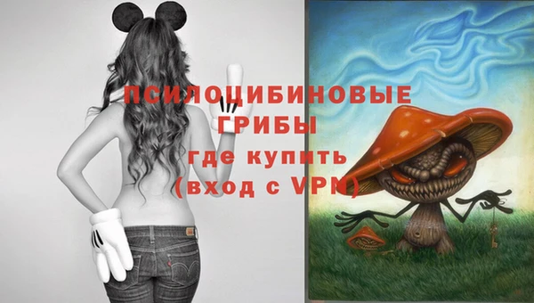 прущие крисы Абаза