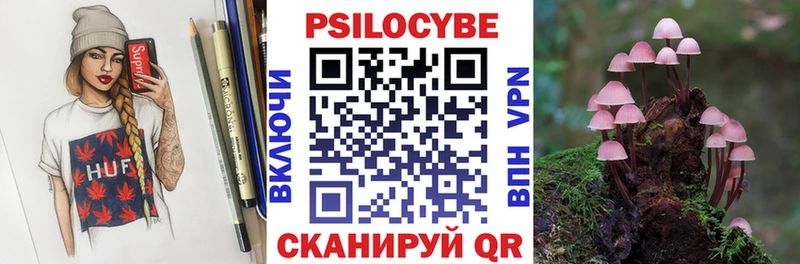 Псилоцибиновые грибы мицелий  нарко площадка официальный сайт  Змеиногорск  blacksprut ССЫЛКА 
